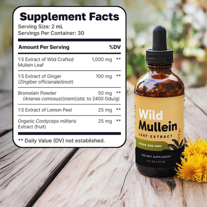 New Maximum Potency Mullein Drops For Smokers | Kyliea